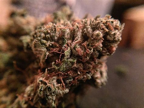 Rollex OG Kush Weed Strain Effects & Reviews .